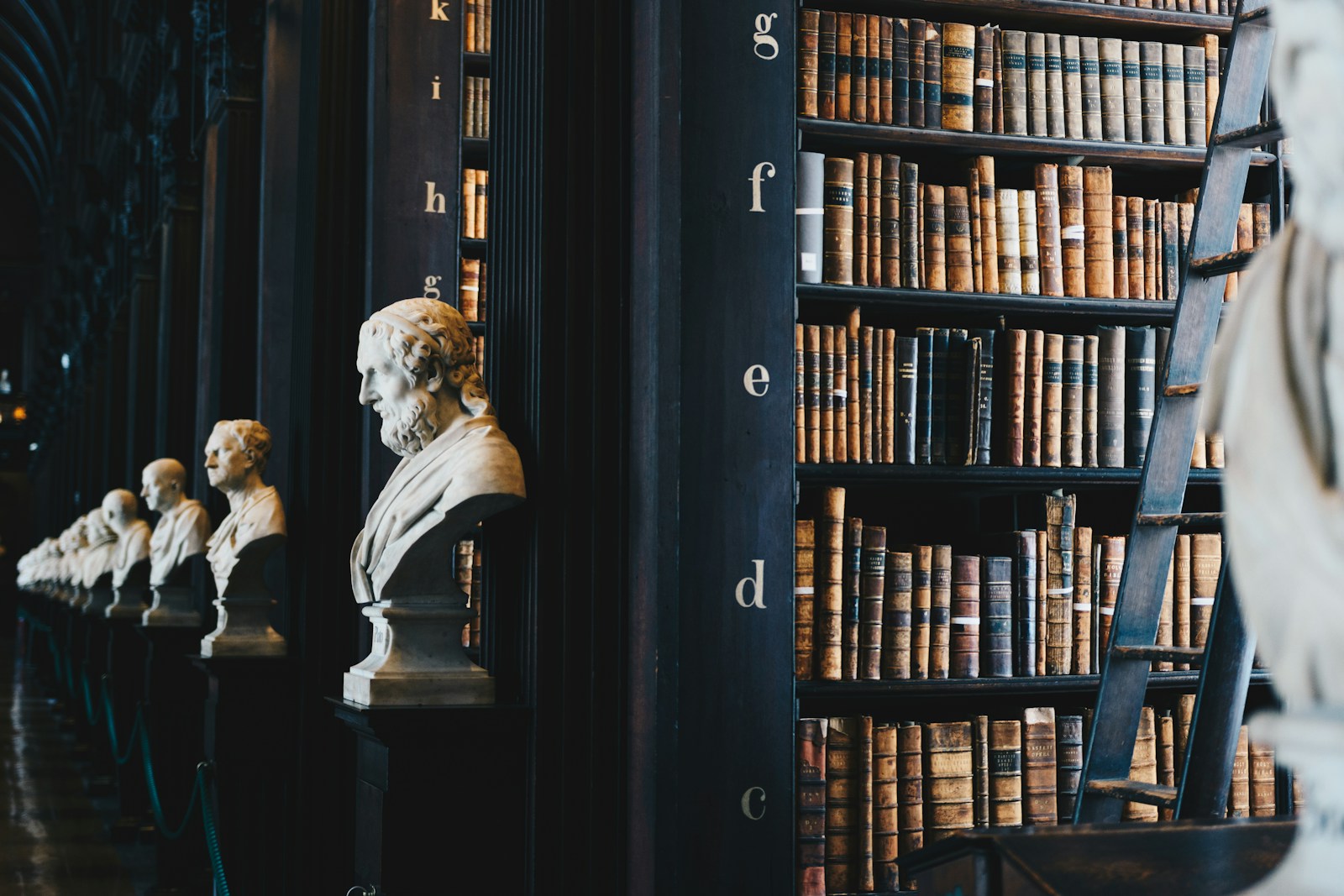 Historic legal-style library shelves with books and marble busts