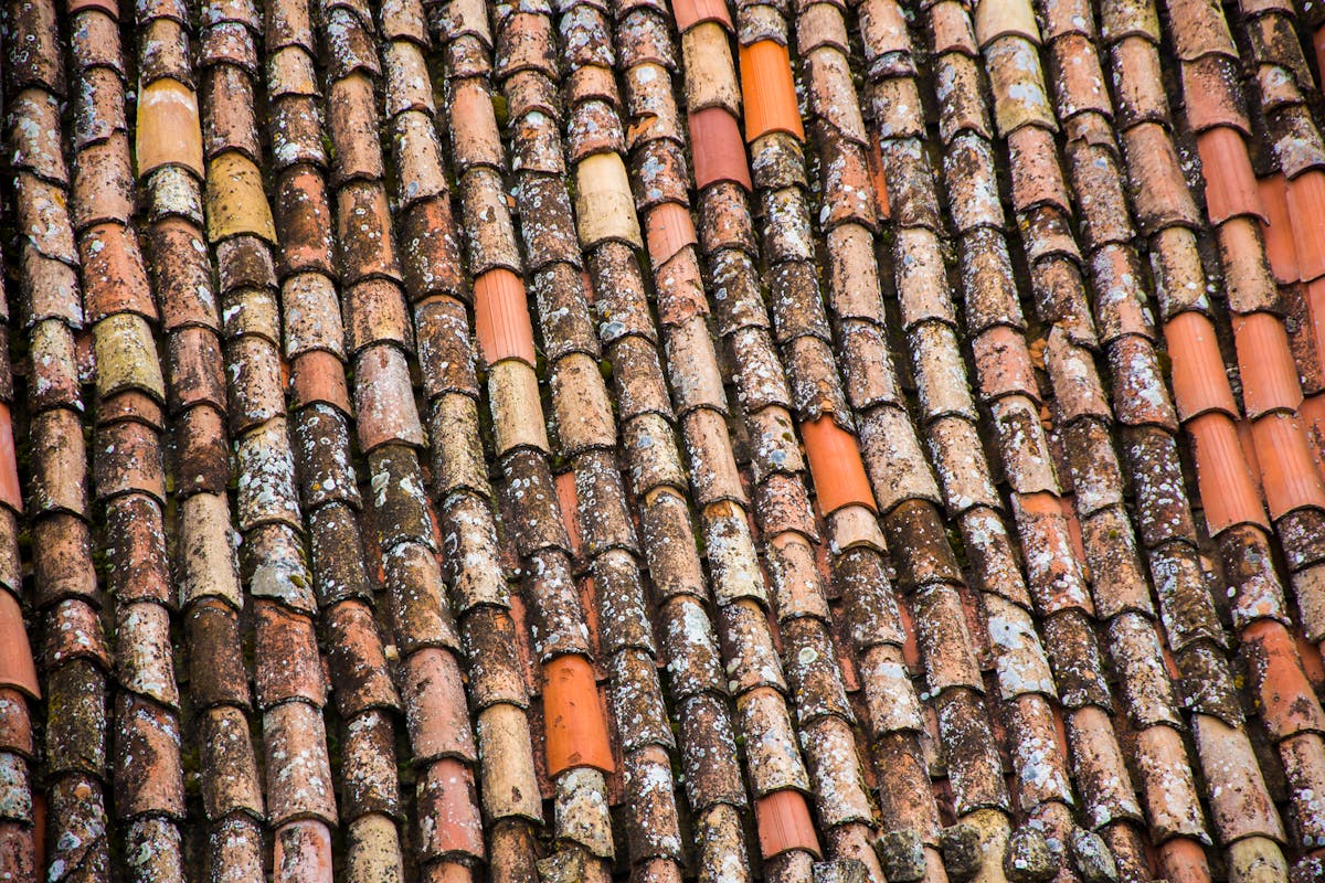 Close-up of weathered roof tiles in warm terracotta tones